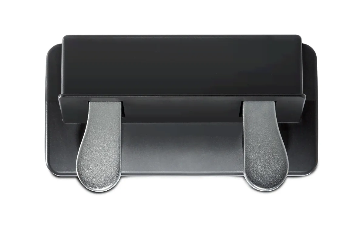 M-Audio SP-Dual - Двойная педаль для клавишных, sustain и damping